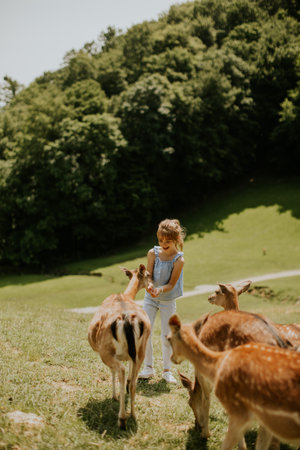 Cute little girl among reindeer herd on the sunny dayの写真素材