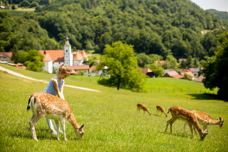 Cute little girl among reindeer herd on the sunny dayの写真素材