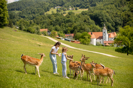 Two cute little girls among reindeer herd on the sunny dayの写真素材