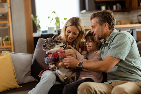 Joyful parents watch their daughter play with a happy french bulldog at homeの写真素材