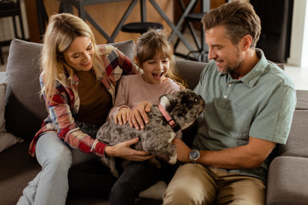 Joyful parents watch their daughter play with a happy french bulldog at homeの写真素材
