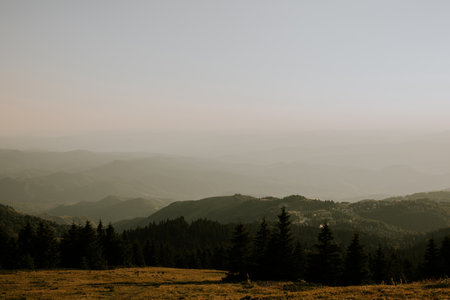 Lush grassy field dotted with various trees and framed by towering mountains in the background, creating a peaceful and picturesque scene.の写真素材