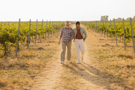 Walking along a dusty path in a sunny vineyard, two men engage in lighthearted conversation, their camaraderie evident against the backdrop of sprawling grapevinesの写真素材