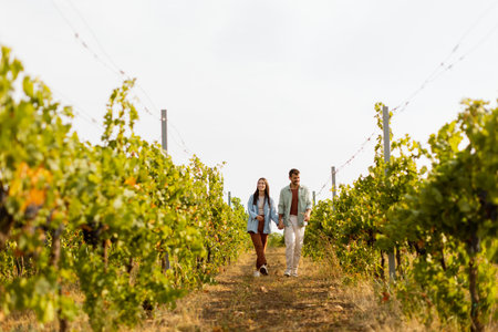 Joyful couple shares laughter and embraces under the warm sun in a picturesque vineyard, framed by rows of vibrant grapevines and golden earthの写真素材