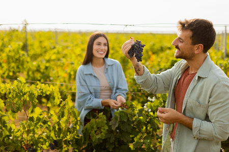 Under the warm afternoon sun, a couple strolls through a vineyard, joyfully sharing a moment as they admire a bunch of freshly picked grapes together in a peaceful landscapeの写真素材