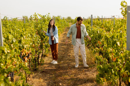 In a vibrant vineyard, two friends are joyfully gathering grapes, surrounded by lush green vines under the bright autumn sun, embracing the harvest season togetherの写真素材
