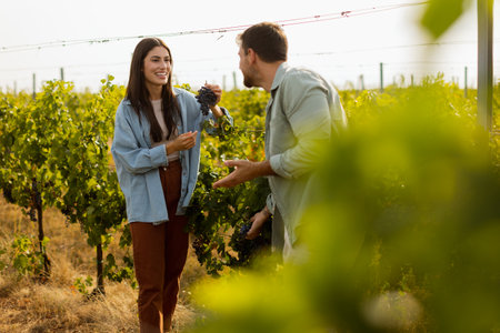 Under the warm afternoon sun, a couple strolls through a vineyard, joyfully sharing a moment as they admire a bunch of freshly picked grapes together in a peaceful landscapeの写真素材