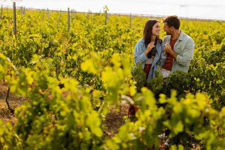 Under the warm afternoon sun, a couple strolls through a vineyard, joyfully sharing a moment as they admire a bunch of freshly picked grapes together in a peaceful landscapeの写真素材