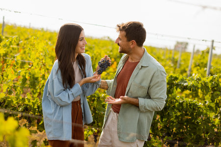 Under the warm afternoon sun, a couple strolls through a vineyard, joyfully sharing a moment as they admire a bunch of freshly picked grapes together in a peaceful landscapeの写真素材