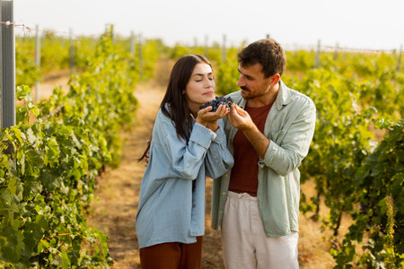 Under the warm afternoon sun, a couple strolls through a vineyard, joyfully sharing a moment as they admire a bunch of freshly picked grapes together in a peaceful landscapeの写真素材