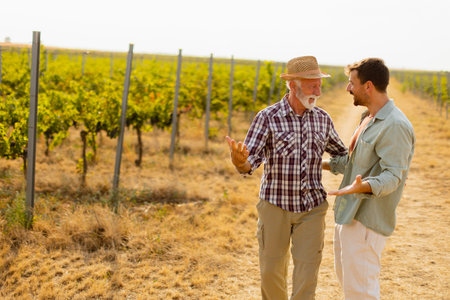 Walking along a dusty path in a sunny vineyard, two men engage in lighthearted conversation, their camaraderie evident against the backdrop of sprawling grapevinesの写真素材