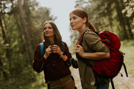 Amidst lush greenery, two friends pause to admire nature while holding cameras, surrounded by sunlight filtering through trees on a serene hike.の写真素材