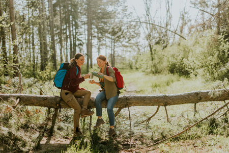 Two adventurous friends relax atop a fallen log, enjoying nature's beauty and companionship in a sun-drenched forest setting.の写真素材
