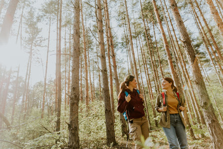 Amidst towering trees in a lush forest, two friends enjoy each other's company while engaging in...