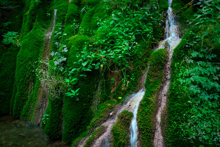 A stunning waterfall flows gracefully over moss covered rocks, surrounded by vibrant foliage in the serene area near Majdanpek, Serbia.の写真素材