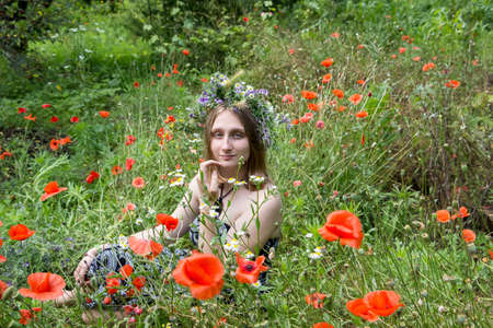 young girl student in a wreath of wild grasses sits on a field with blooming red poppies on vacation in nature vacation travel sunny dayの写真素材