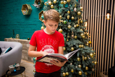 a boy reads a book while standing by a decorated Christmas tree in New Year's decorationsの写真素材