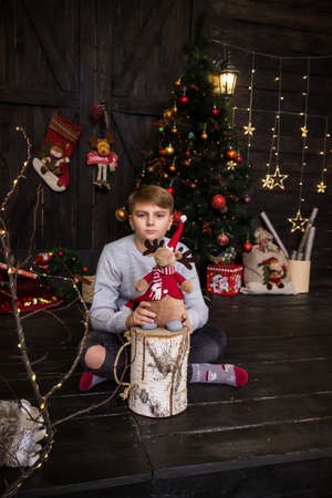 handsome boy in a New Year's sweater sits with a reindeer toy on a stump near a decorated Christmas treeの写真素材