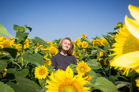 young girl schoolgirl in nature in a field with sunflowersの写真素材