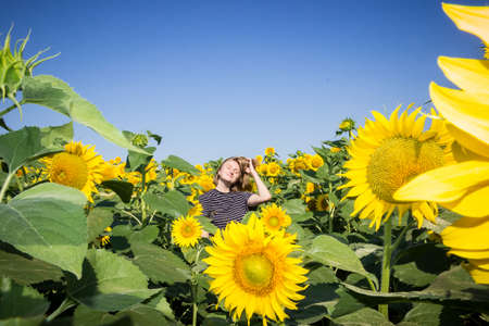 young girl schoolgirl in nature in a field with sunflowersの写真素材