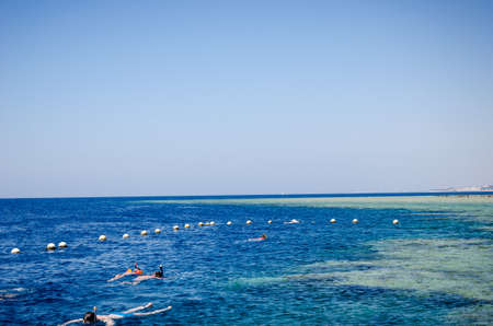 People snorkeling in the Red Sea on a sunny dayの写真素材