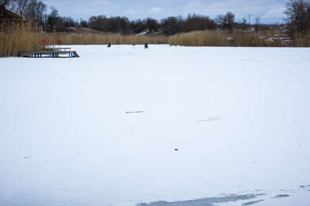 frozen lake near the forest in winter