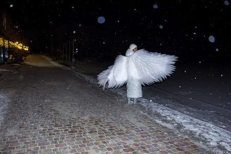 white angel girl under flying snow at night on the lake in winterの写真素材