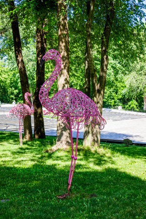 Flamingo in the park in the summer. Stylized photo.の写真素材
