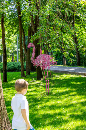 Boy with a pink flamingo in the park in the summer.の写真素材