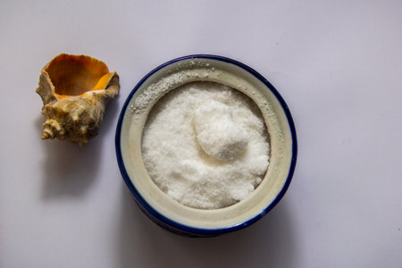 white sea salt in ceramic plate, large sea snail shell next to it, piled up with a slide, useful,...