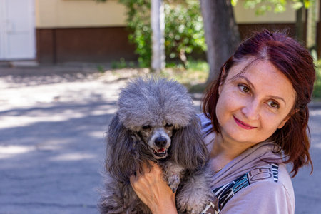 dark-haired woman holds gray curly dog in her arms smiling, close-up, domestic, friend, full-face,...