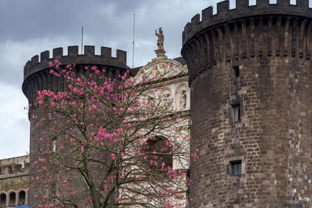 NAPLES, ITALY - NOVEMBER 05, 2018 - The medieval castle of Maschio Angioino or Castel Nuovo New Castle and the silk tree in bloom, Napoliのeditorial素材