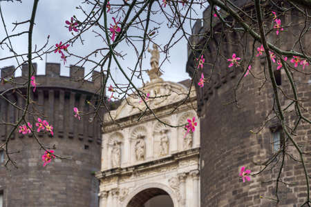 NAPLES, ITALY - NOVEMBER 05, 2018 - The medieval castle of Maschio Angioino or Castel Nuovo New Castle and the silk tree in bloom, Napoliのeditorial素材