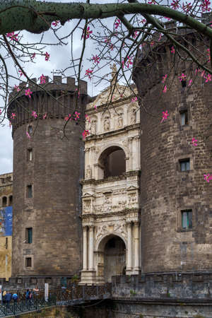 NAPLES, ITALY - NOVEMBER 05, 2018 - The medieval castle of Maschio Angioino or Castel Nuovo New Castle and the silk tree in bloom, Napoliのeditorial素材