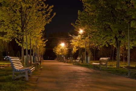 Park alley by nightの写真素材
