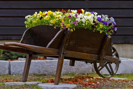 Very old wheelbarrow with flowersの写真素材