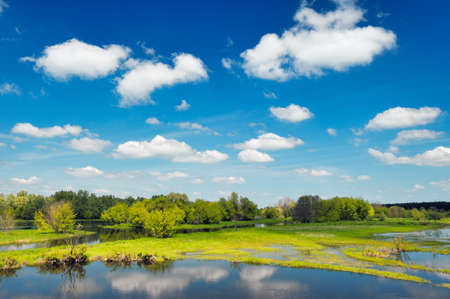 River flood waters wallpaper, Narew, Polandの写真素材