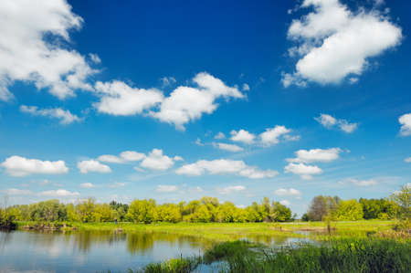 Pond wallpaper, Narew, Polandの写真素材