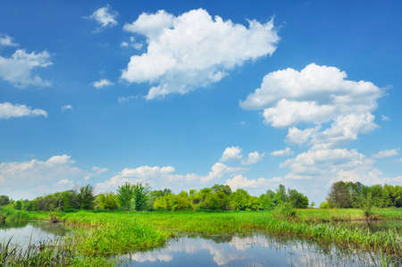 Beautiful rural landscape with flood waters of Narew river in Poland の写真素材