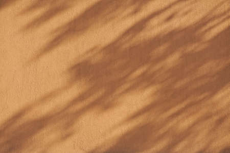 Wall with shadow from the leaves of trees