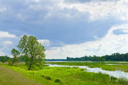 The last wild places  Cloudy landscape with flood waters of Narew river 