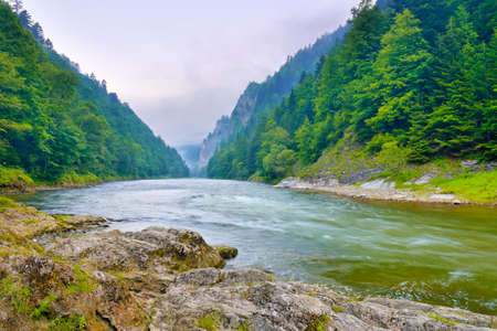 The gorge of mountain river in the morning  Dunajec, Pieninyの写真素材