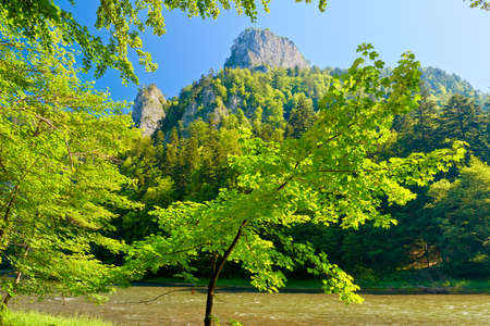 Beautiful landscape with the gorge of mountain river  Sokolica, Pieniny, Dunajec の写真素材