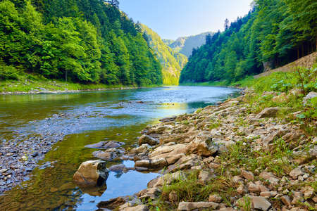Stones and rocks in the beautiful morning in The Dunajec River Gorgeの写真素材