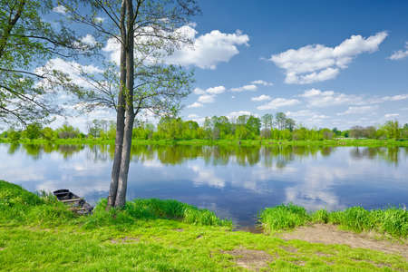 Sunny summer landscape  Trees and Boat at riverbank  Valley of The Narew River, Poland の写真素材