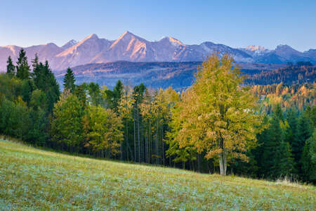 Beautiful dawn over The High Tatras, Carpathians  Morning landscape with trees and mountains の写真素材