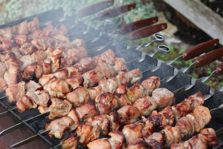 Skewers on a barbecue grill, closeup of photoの写真素材