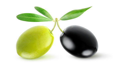 Green and black olive isolated on whiteの写真素材