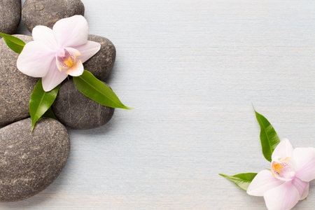 Orchid flower on wooden background with spa stones.の写真素材