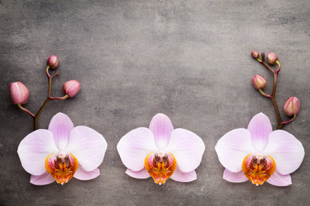Orchid spa theme objects on grey background.の写真素材